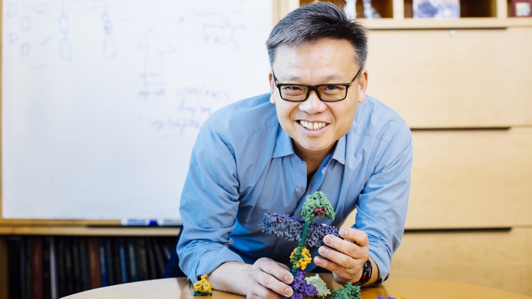 Wendell Lim, PhD, has been awarded the Byers Distinguished Professorship. Photo by Elena Zhukova