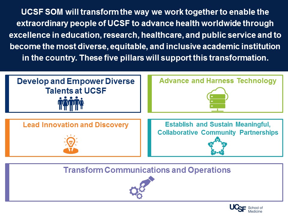 SOM Strategic Plan Pillars SOM Strategic Plan Pillars