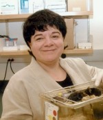 Dr. Licia Selleri