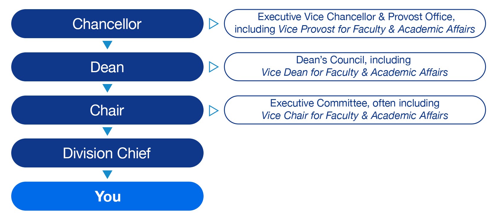 chart that shows that the employee reports to the division chief, who reports to the chair, who reports to the dean, who reports to the chancellor. Chairs also work with executive committees, the dean works with the dean's council, and the chancellor works with the EVCP office