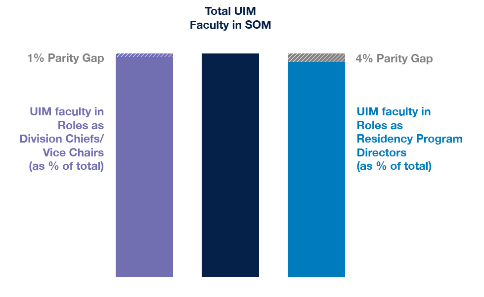 chart showing the representation of women in SOM faculty vs their representation in leadership roles. Compared to the total number of women faculty, there is a 5% parity gap in women in roles as division chiefs/vice chairs, and a 4% parity gap in women in roles as residency program directors.