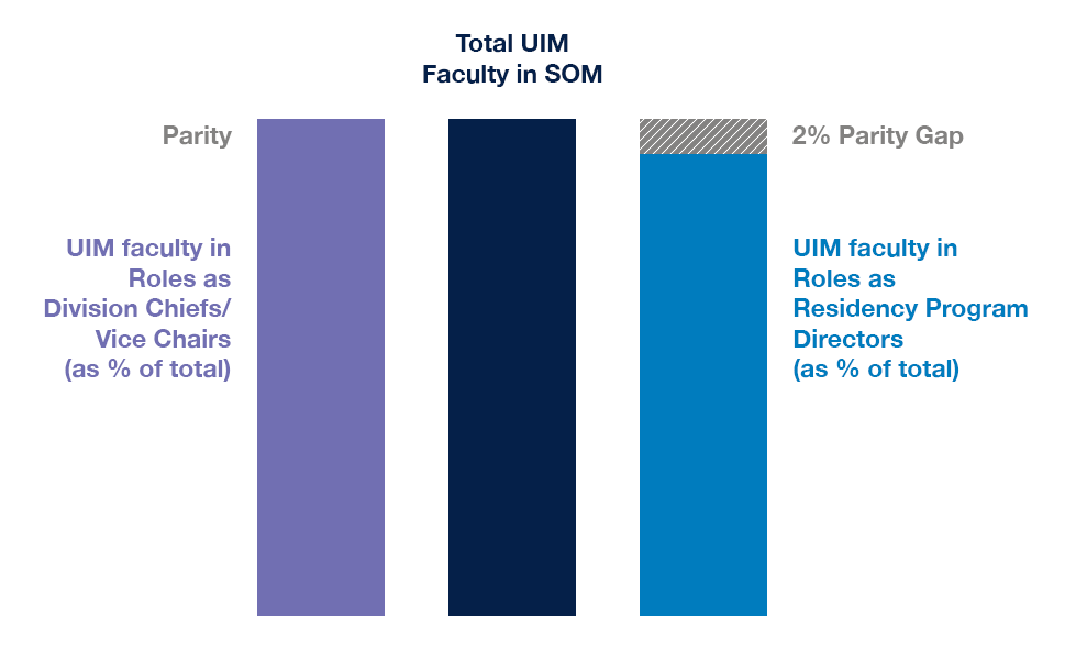 chart showing the representation of UIM in SOM faculty vs their representation in leadership roles. Compared to the total number of UIM faculty, there is an equal number of UIM faculty in roles as division chiefs/vice chairs, and a 2% parity gap in UIM faculty in roles as residency program directors.