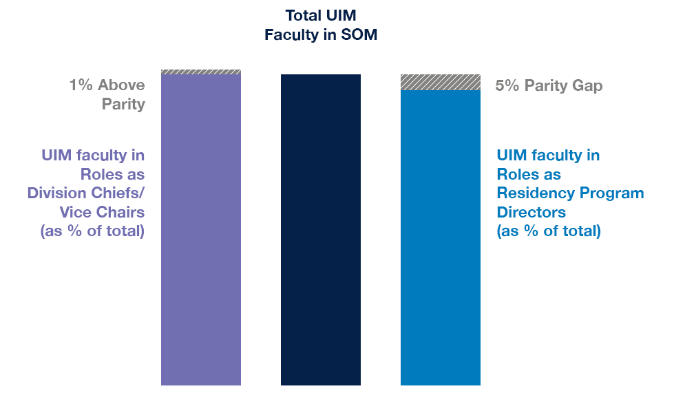 chart showing the representation of UIM in SOM faculty vs their representation in leadership roles. Compared to the total number of UIM faculty, there is a 1% above parity number of UIM faculty in roles as division chiefs/vice chairs, and a 5% parity gap in UIM faculty in roles as residency program directors.