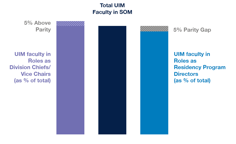 chart showing the representation of women in SOM faculty vs their representation in leadership roles. Compared to the total number of women faculty, there is a 5% parity gap in women in roles as division chiefs/vice chairs, and a 4% parity gap in women in roles as residency program directors.