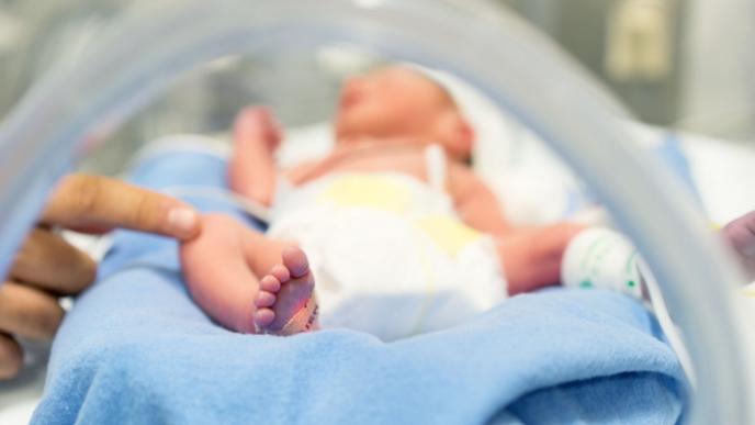 During pregnancy, cells from the mother and the fetus travel back and forth across the placenta.